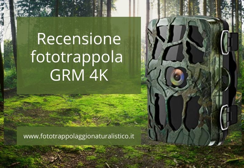 Recensione fototrappola GRM video 4K