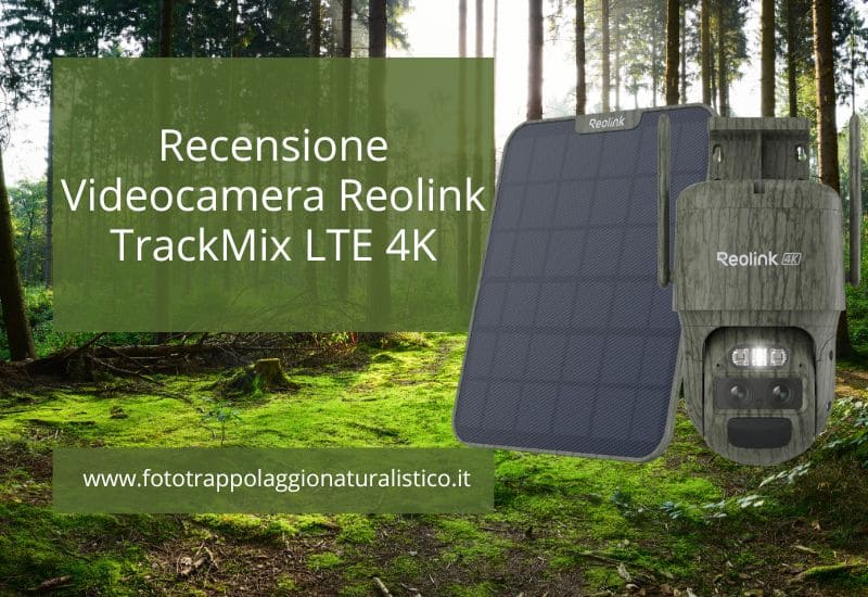 recensione videocamera reolink trackmix lte 4k